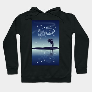 Water reflection Northern lights Hoodie